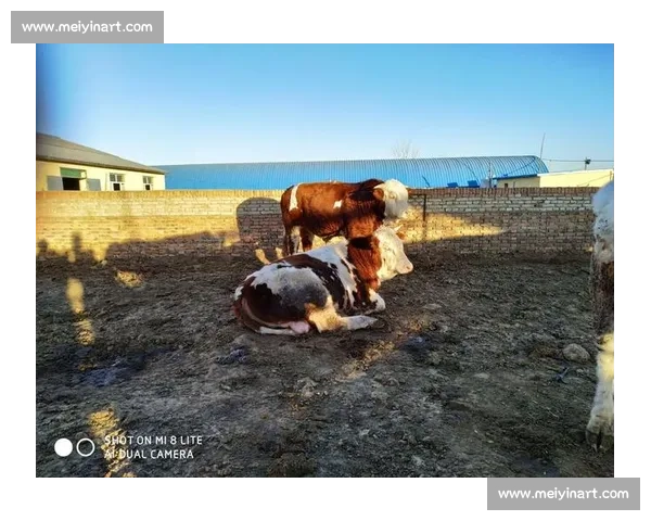 JCK 半决赛双雄突围:王绍祥制霸不败者,吉木五沙巴基绞逆转 JCK 半决赛双雄突围:王绍祥制霸不败者,吉木五沙巴基绞逆转